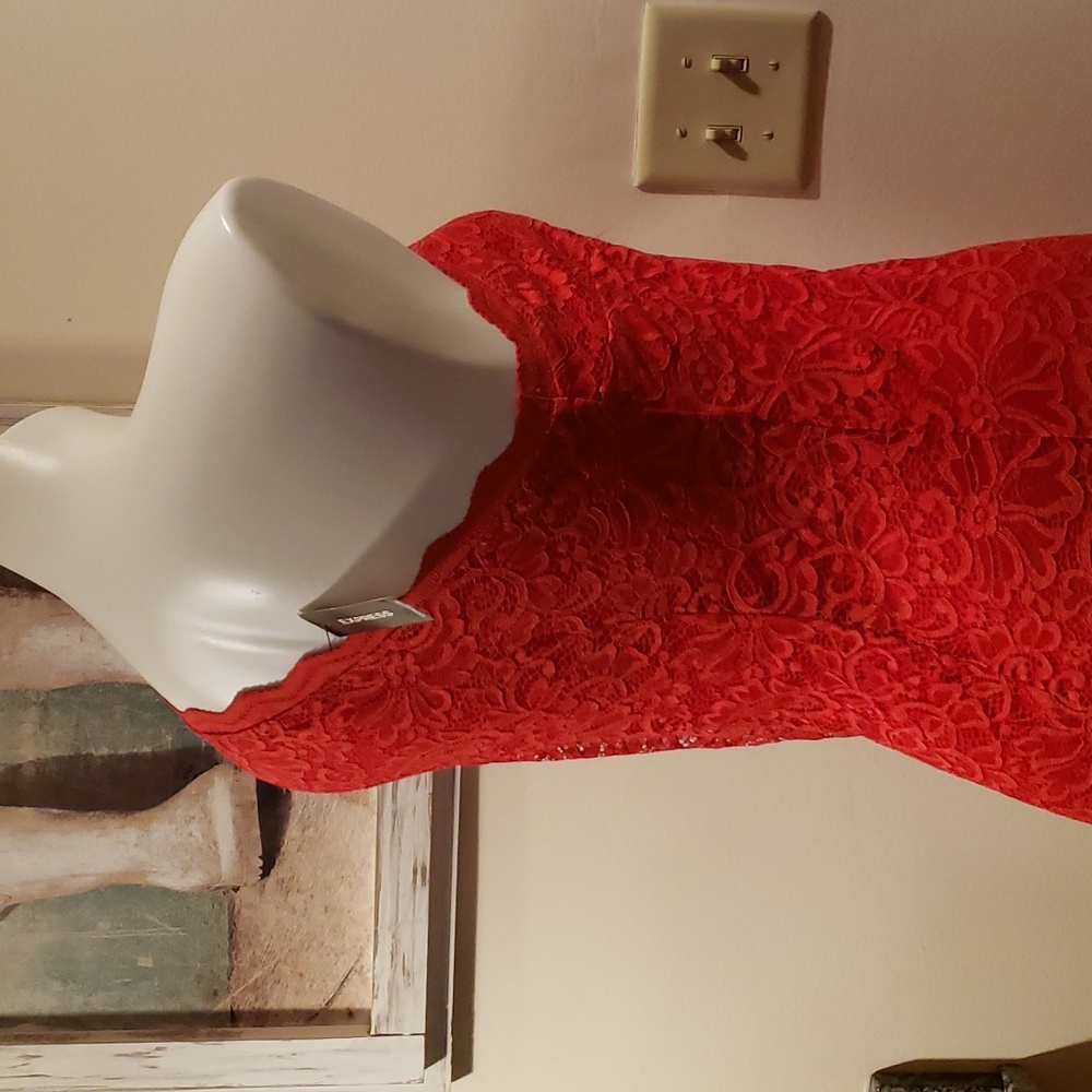 Express Dress - Picture 10 of 12